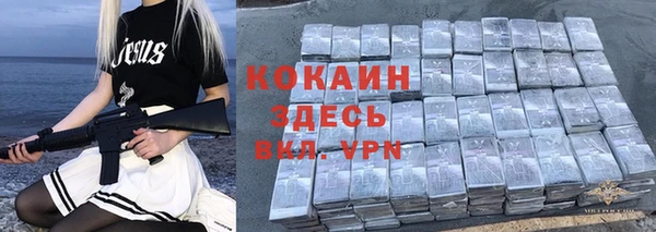 винт Арсеньев